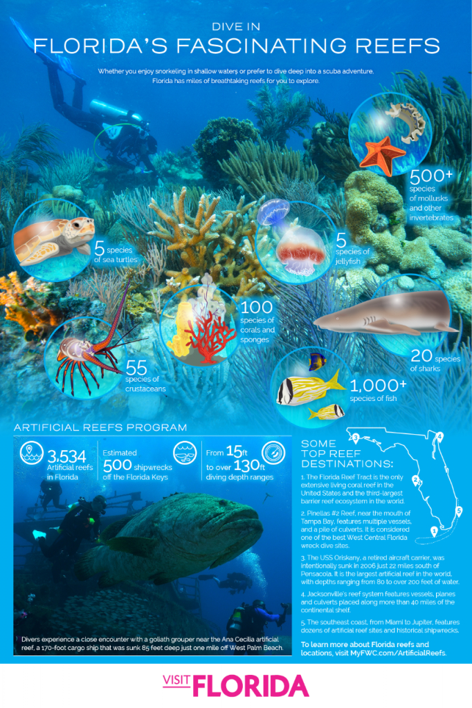 10 Great Spots For Snorkeling And Scuba Diving In Florida | Visit - Florida Dive Sites Map