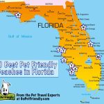 10 Of The Best Pet Friendly Beaches In Florida | Gopetfriendly   Best Beaches Gulf Coast Florida Map