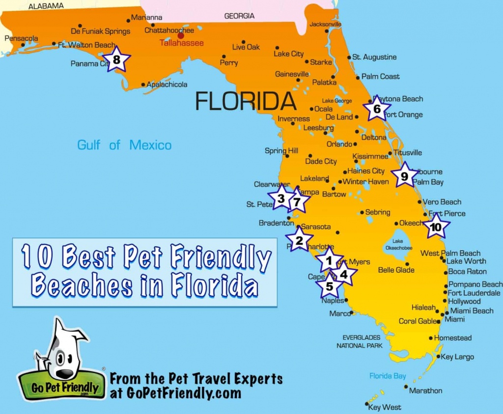10 Of The Best Pet Friendly Beaches In Florida | Gopetfriendly - Map Of Alabama And Florida Beaches