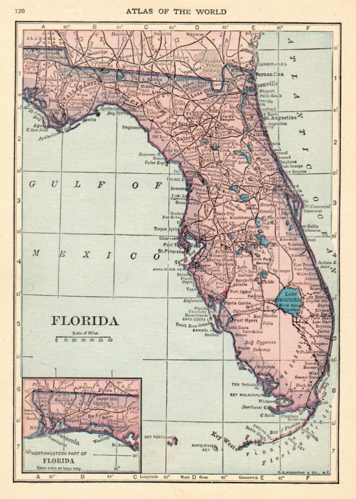 Map Of Florida Wall Art