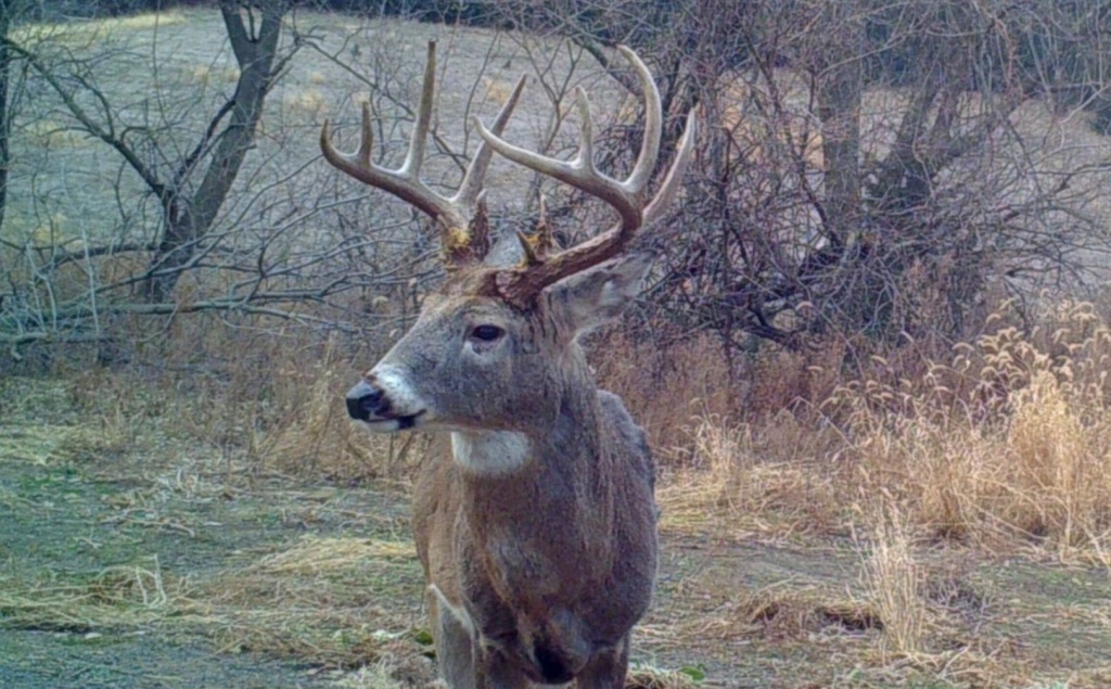 Deer Hunting Seasons Louisiana Hunting Seasons & Regulations Deer