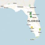 2019 Best Colleges In Florida   Niche   Florida State University Map
