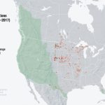 America's Cat Is On The Comeback | American Scientist   Mountain Lions In Texas Map