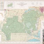 Apalachicola National Forest (Apalachicola Wakulla Ranger Districts   National Forests In Florida Map