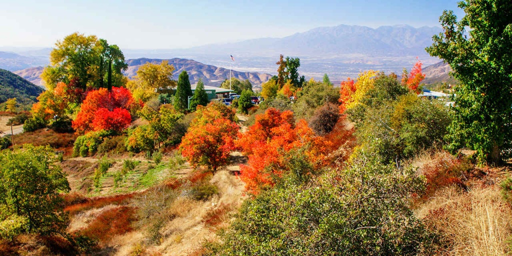 Autumn Leaves In California | Visit California - California Fall Color Map 2017