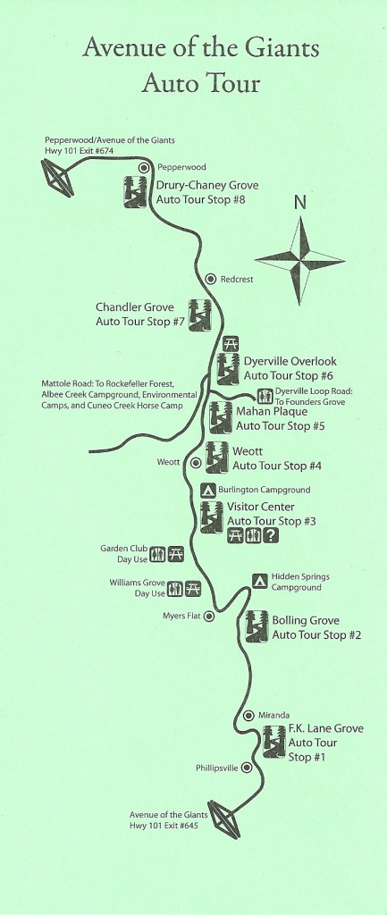 Avenue Of The Giants Auto Tour Map - Avenue Of The Giants - Avenue Of The Giants California Map