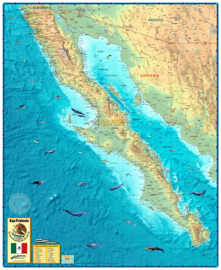 Baja California Topographic Maps
