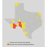 Bear Safety For Hunters In Texas   Texas Hunting Zones Map