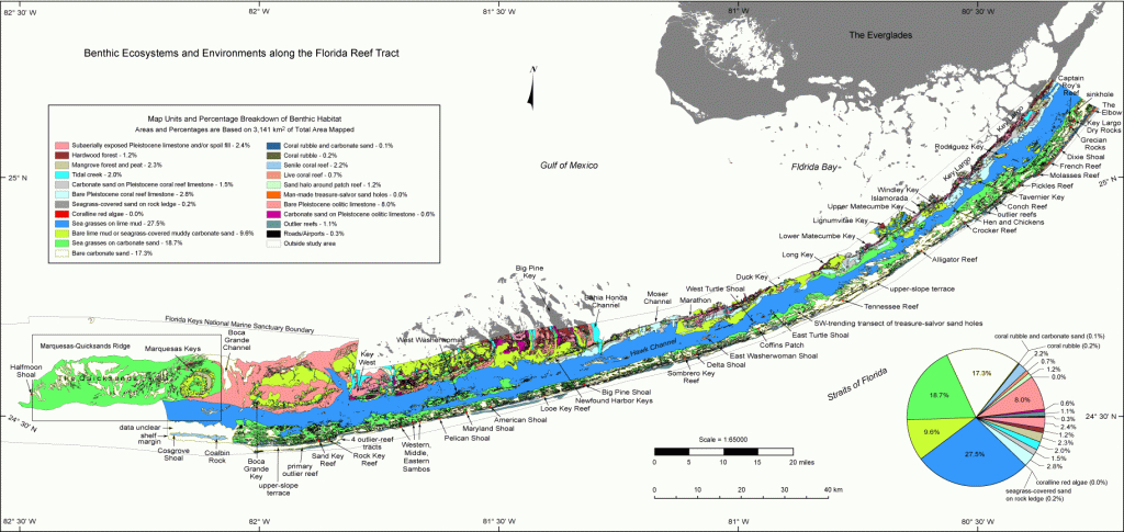 Benthic Ecosystems Map And Pie Chart - Systematic Mapping Of Bedrock - Florida Keys Marine Map
