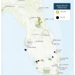 Blue Green Algal Bloom Weekly Update We 052319 | Florida Department   Florida Blue Green Algae Map