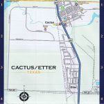 Cactus Local Street Map   Dumas Texas Map
