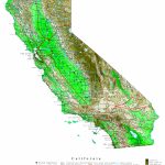 California Contour Map   Online Map Of California
