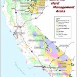 California   Herd Management Areas | Bureau Of Land Management   Blm Hunting Maps California