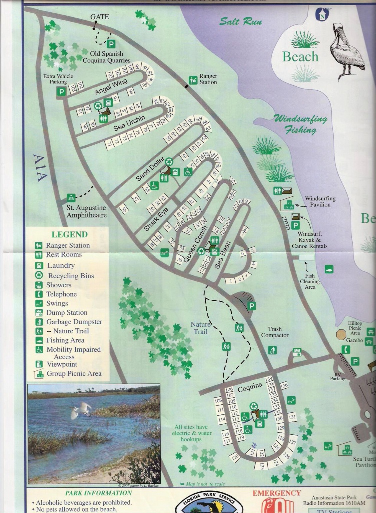 Campground Map - Anastasia State Park - St. Augustine - Florida - Florida Campgrounds Map