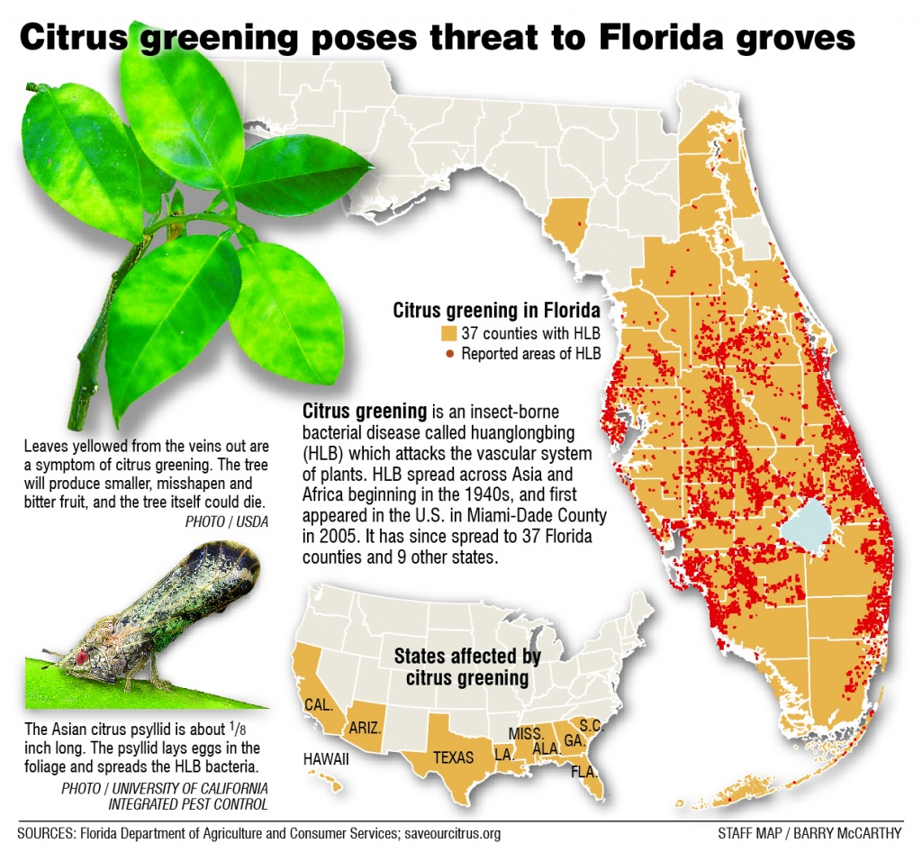 Citrus Greening: Florida's Bittersweet Harvest - Extra - Florida Citrus Greening Map