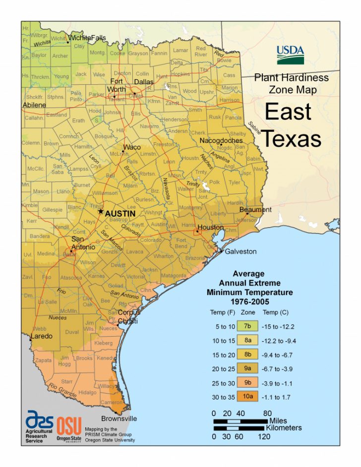 Texas Growing Zone Map