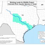 Colorado River Mussels Project | Nrcs   Texas Creeks And Rivers Map