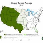 Cougars In Tennessee | State Of Tennessee, Wildlife Resources Agency   Mountain Lions In Texas Map
