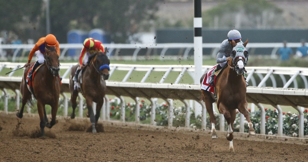 Del Mar Races See New Costs And Declining Revenues | Kpbs - Horse Race Tracks In California Map