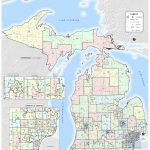 Do You Know What Michigan Senate And House Districts You Live In?   Texas State Senate District 10 Map