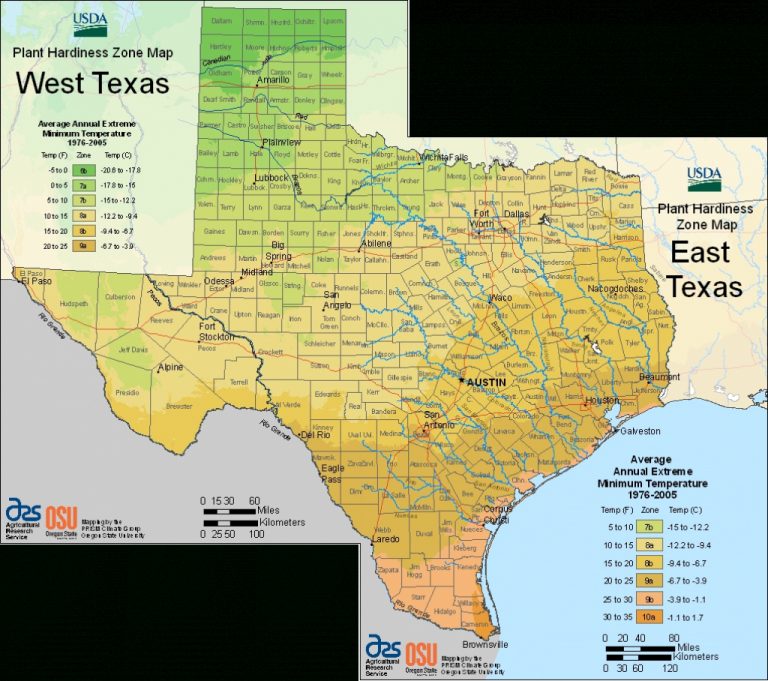 Earth-Kind Plant Selector - Texas Hardiness Zone Map | Printable Maps