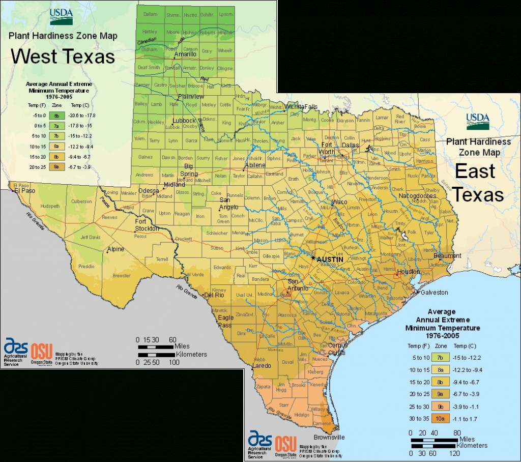 Texas Planting Zones Map Printable Maps