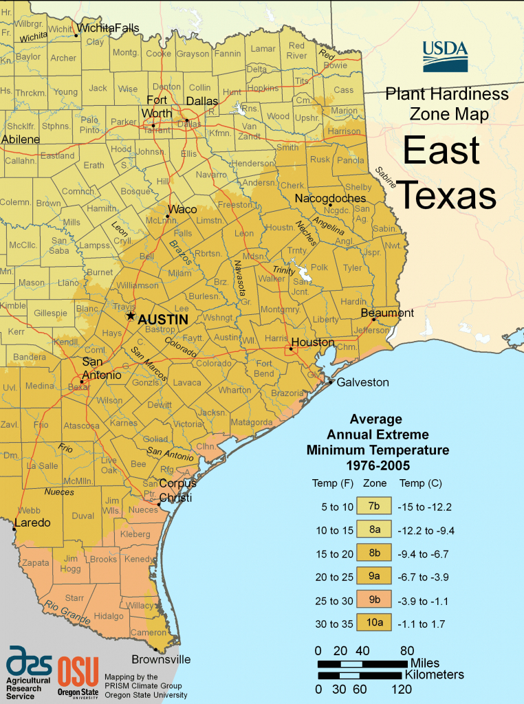 texas-growing-zone-map-printable-maps