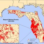 Environmental Research And Sustainability Laboratory   Florida Wetlands Map