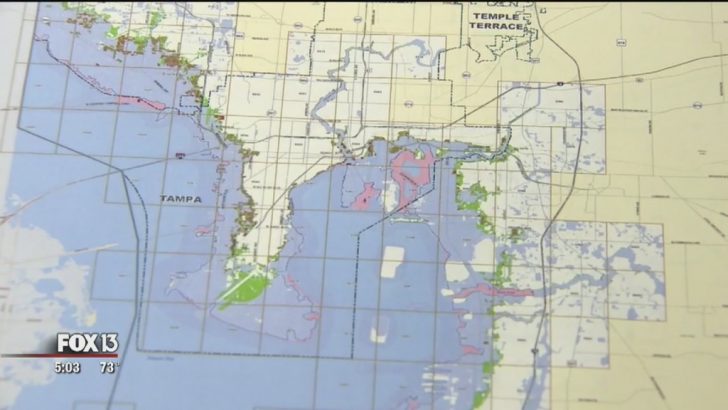 Gulf County Florida Flood Zone Map