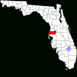 File:map Of Florida Highlighting Pasco County.svg   Wikimedia Commons   St Leo Florida Map