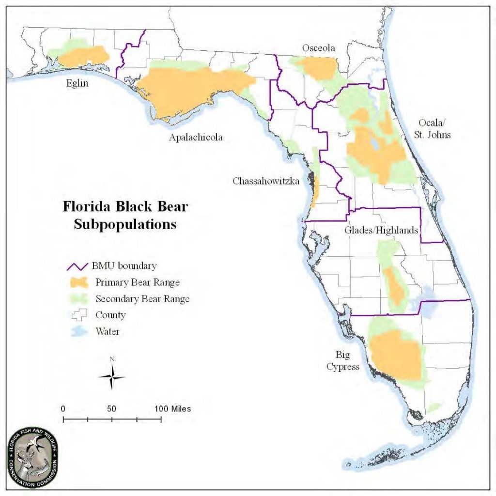 Florida Black Bear – Bear Conservation - Bears In Florida Map
