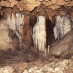 Florida Caverns State Park, A Florida State Park Located Near Marianna   Florida Caverns State Park Map