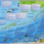 Florida Map, Florida Keys Guide And Dive,laminated, 2010Frankos   Florida Keys Dive Map