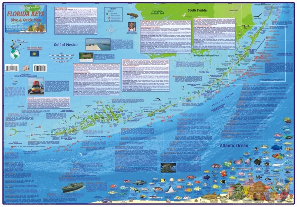 Florida Map, Florida Keys Guide And Dive,laminated, 2010Frankos - Florida Keys Snorkeling Map