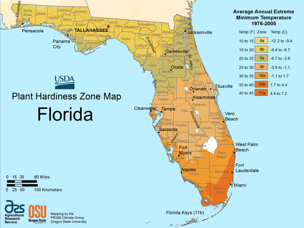 Florida Plant Hardiness Zone Map • Mapsof - Florida Elevation Map By Address