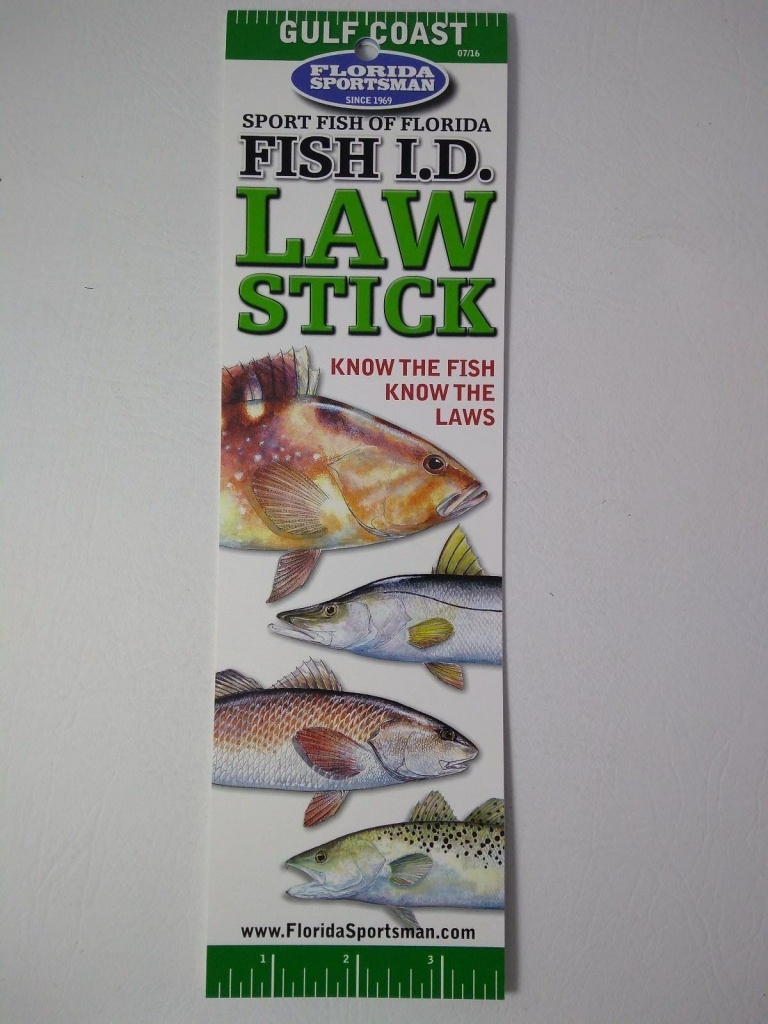 Florida Sportsman Ls4Cgc 4-Color Fish Id Tri-Fold Guide Gulf For - Florida Sportsman Fishing Maps