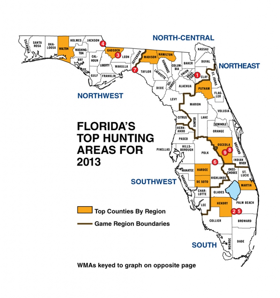 Florida Whitetail Experience - Huntingnet Forums - Florida Public Hunting Map