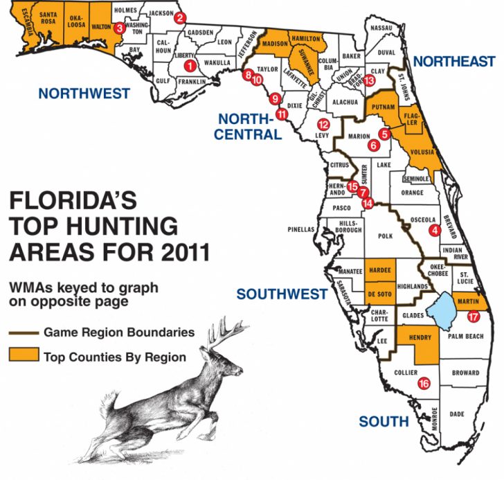 Florida Public Hunting Map
