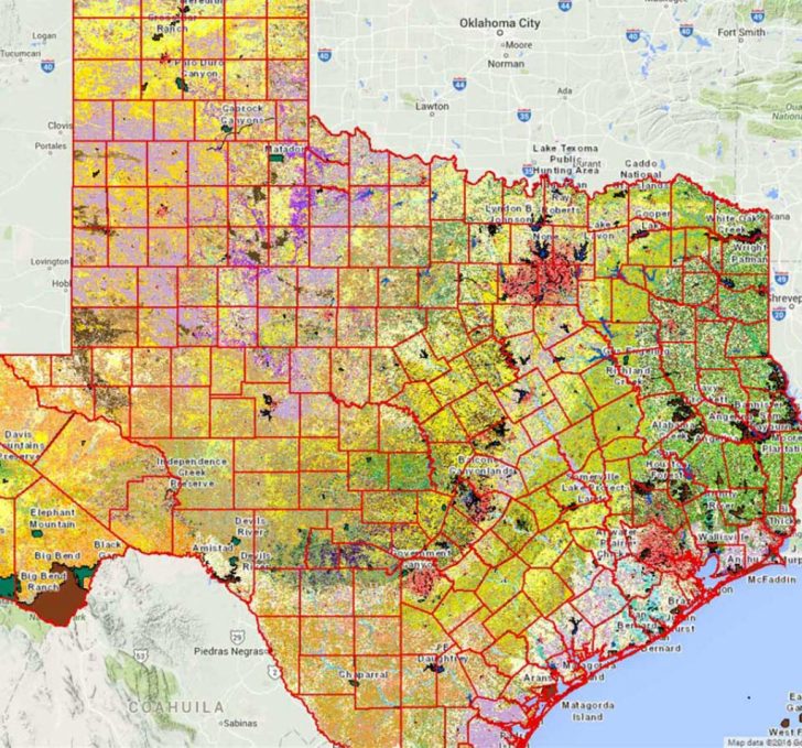 Texas Deer Hunting Zones Map