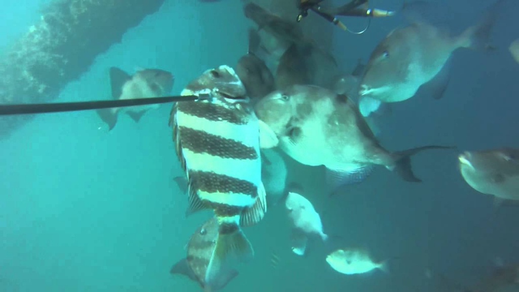 Gopro Spear Fishing. Port O&amp;#039;conner Texas. Oil Rig - Youtube - Texas Oil Rig Fishing Map