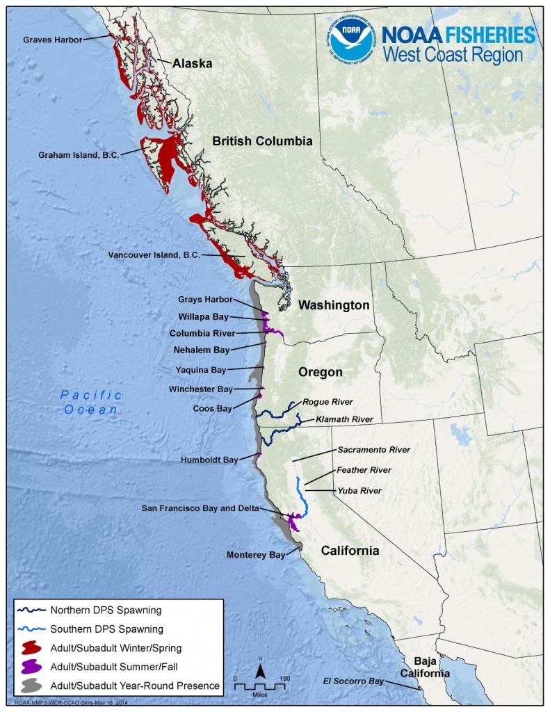 Green Sturgeon - Northern California Fishing Map