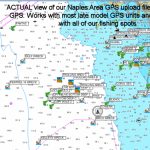 Hot Spots Fishing Maps « Guide To Coastal Georgia Fishing Spots   Top Spot Fishing Maps Florida