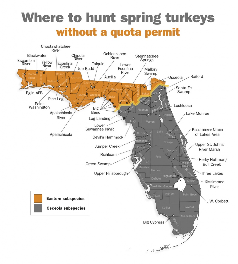Hunting Spring Turkeys Without A Quota Permit | Great Days Outdoors - Florida Public Hunting Map