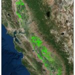Industry Statistics And Maps | California Almonds   Your Favorite   California Almond Farms Map