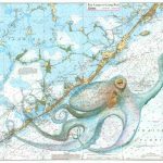 Keys Octopus   Florida Keys Marine Map