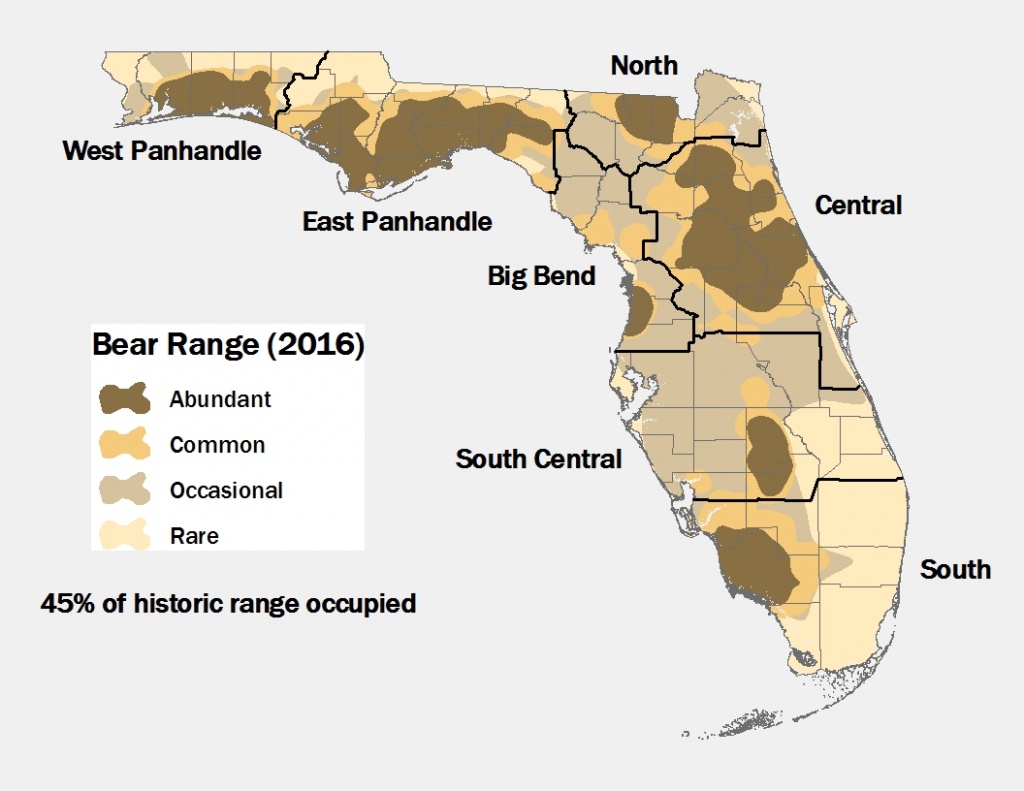 Lesson Ten: Oh Where, Oh Where Is The Florida Black Bear? - Black - Florida Snake Problem Map