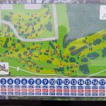 Live Oak City Park   Hillside | Professional Disc Golf Association   Texas Golf Courses Map