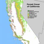 Map Of California Forests | Twitterleesclub   California Forests Map