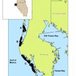 Map Of Study Area (Pinellas County Barrier Islands) | Download   Map Of Pinellas County Florida