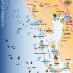 Map Out Your Next Vacation In The Florida Gulf! | Gulf Island Tours   Florida Gulf Map